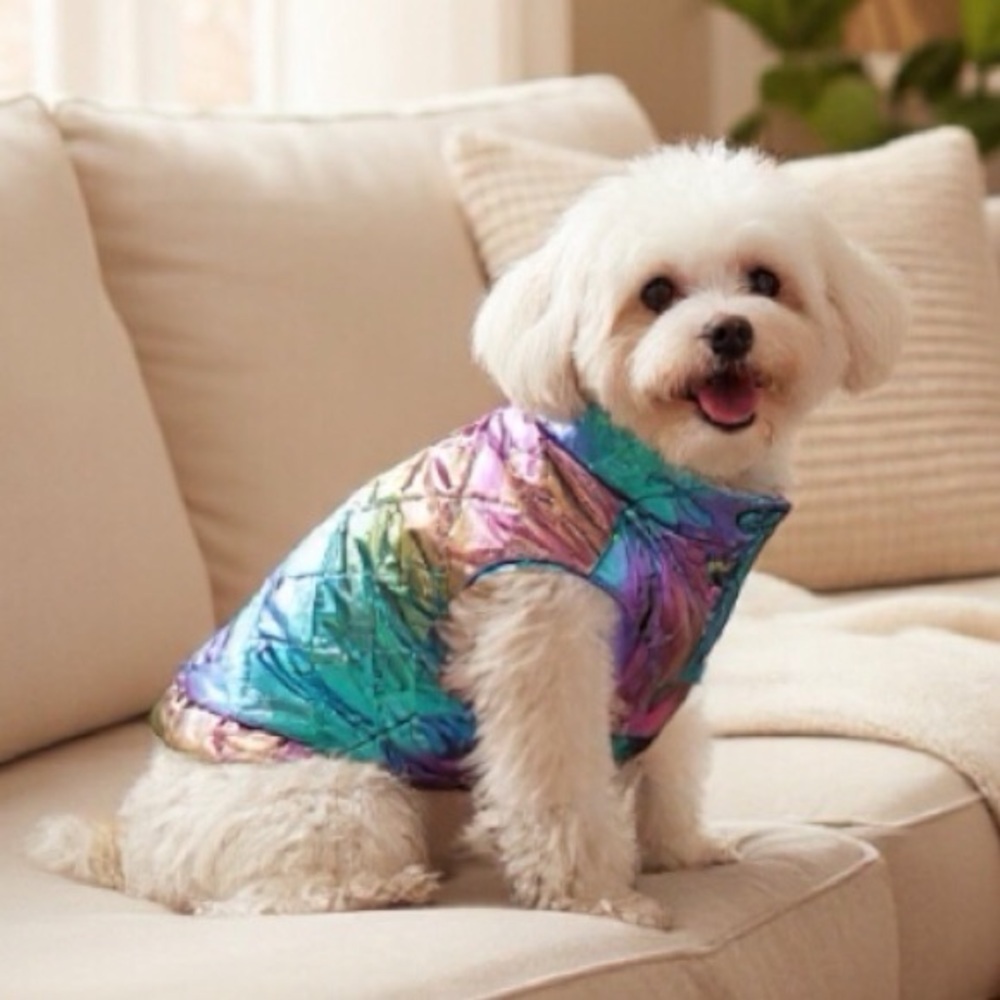 Holographic Quilted Puffer Vest for Small Breed Dog or Midsize Puppy 15-17.5LBS
